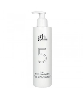 GH 5 GEL LIMPIADOR 250ML